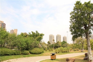 晉江市2017-2019年度市區公園綠化養護及硬地保潔服務（二標）